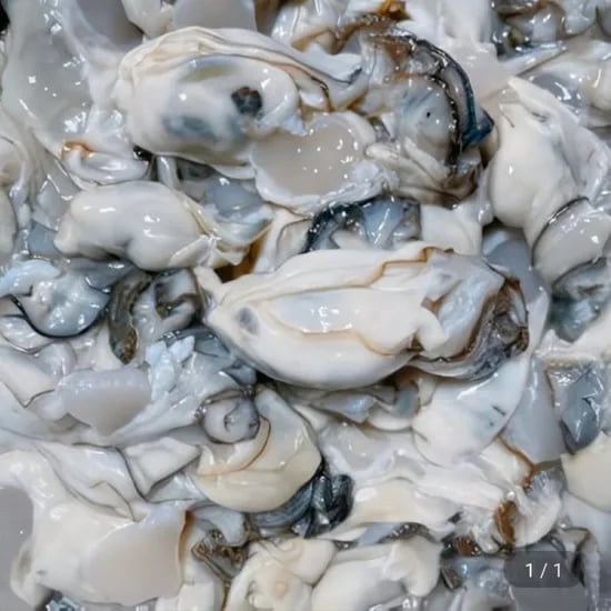 통영 생굴 2kg