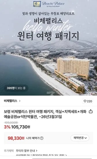 보령 비체팰리스 윈터 여행 패키지