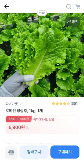 로메인 청상추 1kg