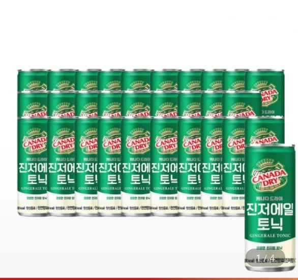 캐나다 진저에일 토닉 50ml 30캔 2