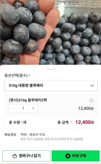 칠레산 생블루베리 특 대용량혼합과 1