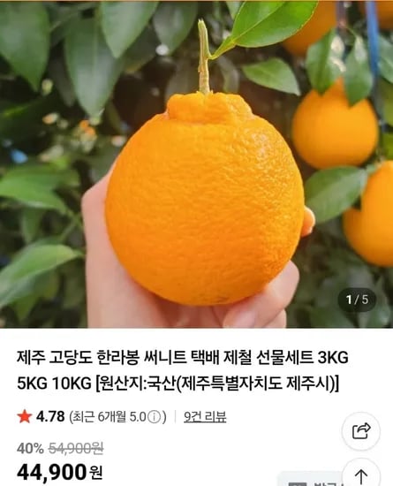써니트 한라봉 소과 2kg
