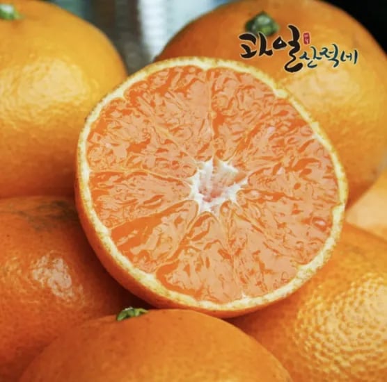 제주 감귤 9kg 중대과