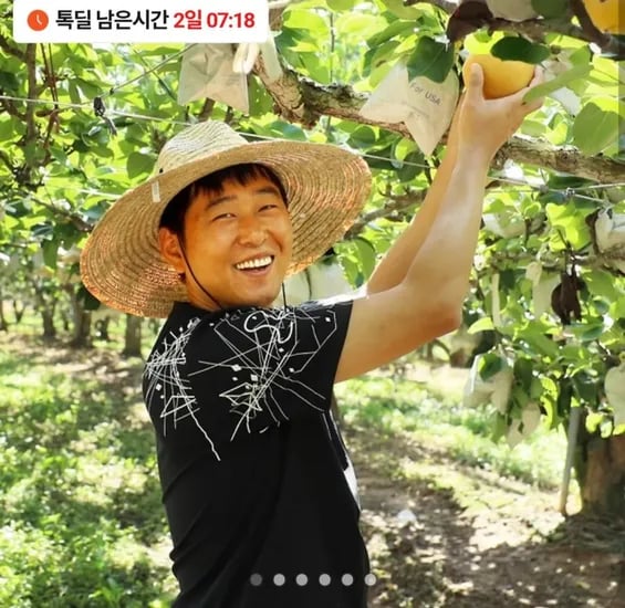 나주배 가정용 5kg