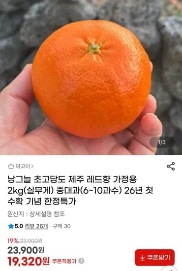 제주 레드향 2kg