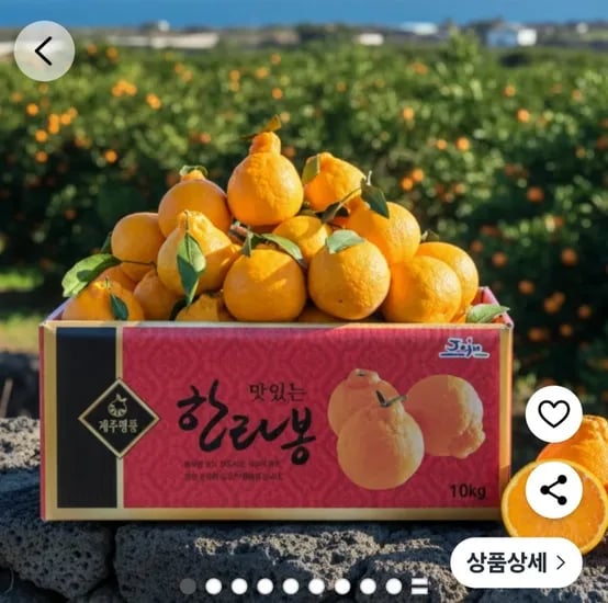 한라봉 2kg 소과