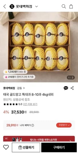 태국 골드망고 특대과 8-10과 4kg내외 (29,910원/무료)