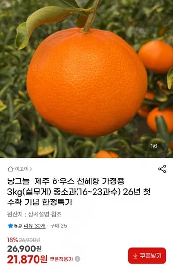 제주 하우스 천혜향 3kg (21,870원 / 무배)