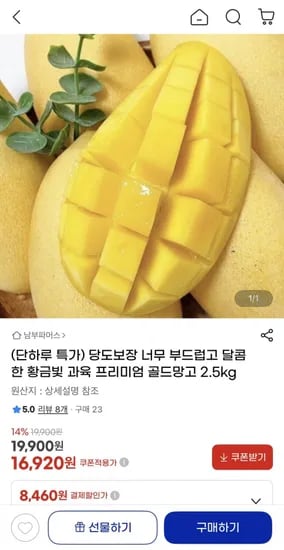 골드망고 2.5kg