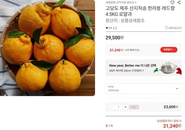제주 한라봉 4.5kg 로얄과