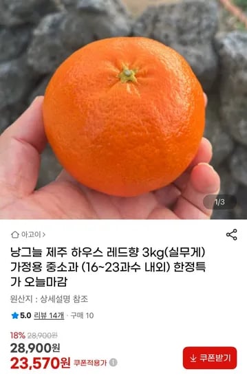 제주 레드향 3kg