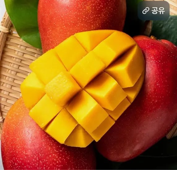 애플망고 4kg 8수