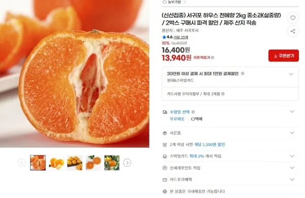 서귀포 하우스 천혜향 2kg 중소과