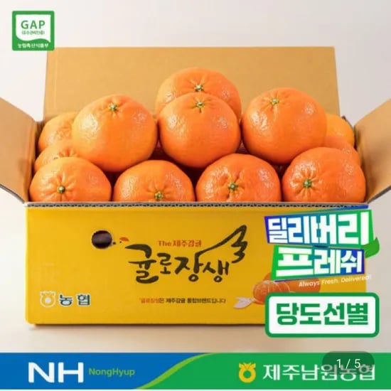 레드향 중과 2kg 10~16입
