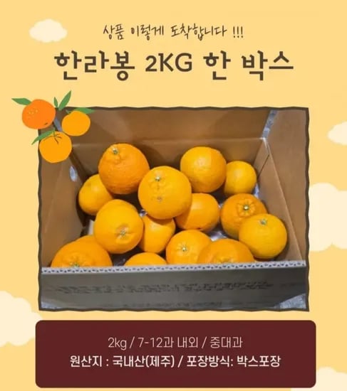 제주 노지 한라봉 2kg 1박스