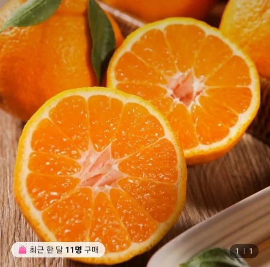 노지 하우스 한라봉 4.5kg