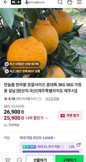 제주 한라봉 로얄과 5kg