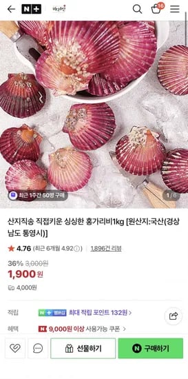 홍가리비 1kg 1,900원 4,000원