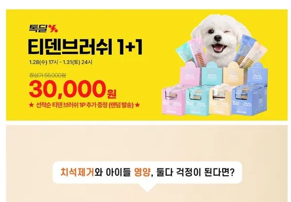 뉴트리오 티덴브러쉬 50p + 50P (+사은품 티덴브러쉬 1P 랜덤증정) (30,000원/무료)