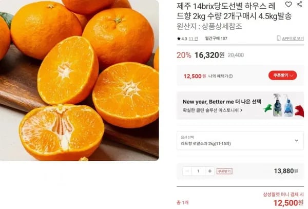 제주 레드향 로얄소과 2kg (12,500원/무배)