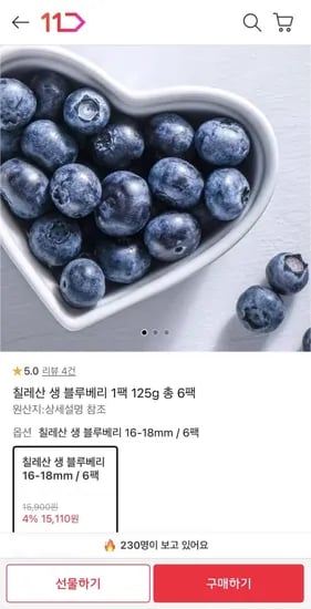 칠레산 생 블루베리 6-18mm 125g 총 6팩 (15,110원/무료)1