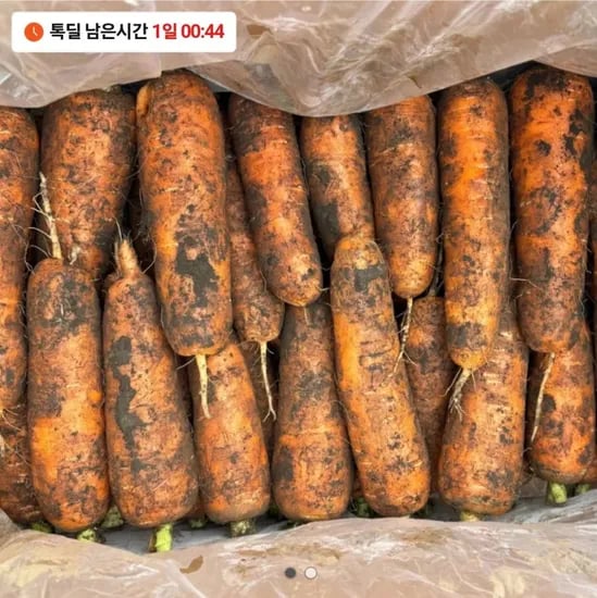 못난이 제주당근 주스용 (7,900원)