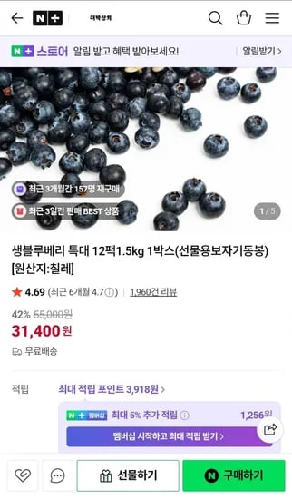 블루베리 특대과 5g x 12팩 (31,400원/무배)12