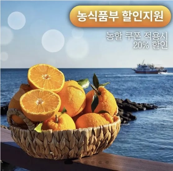 한라봉 3kg 특 5내 (18,400원/무료)1