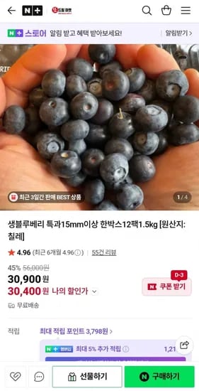 블루베리 특과 15mm이상 125g x 12팩 (30,400원/무배)