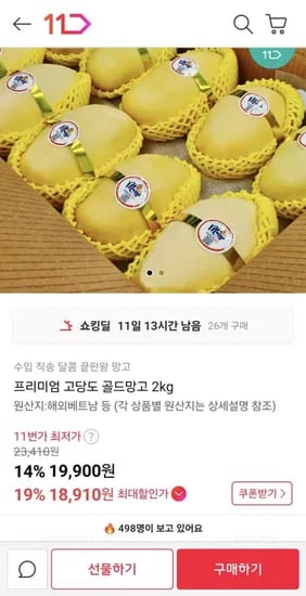 프리미엄 고당도 골드망고 2kg (18,910원/무료)