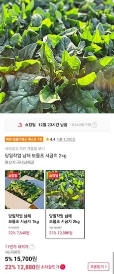당일작업 남해 보물초 시금치 2kg (12,880원/무료)