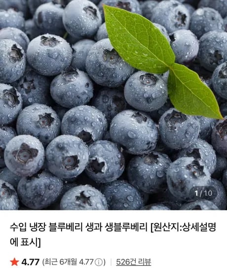 냉장 생 블루베리 칠레산 125g x5팩 (12,800원/네멤무료)