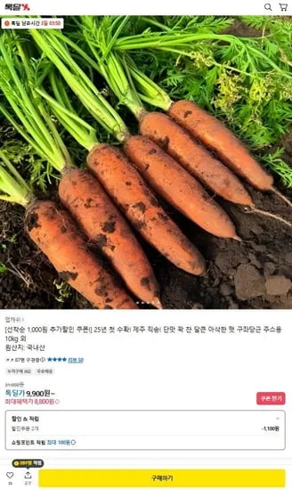 제주 햇구좌당근 주스용 10kg (8,800원/무료)
