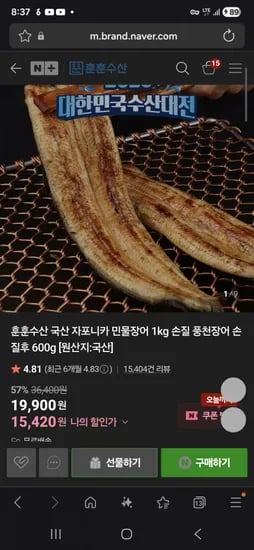 자포니카 장어