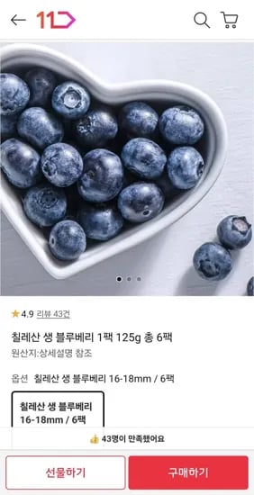 칠레산 생 블루베리 팩 125g 6팩