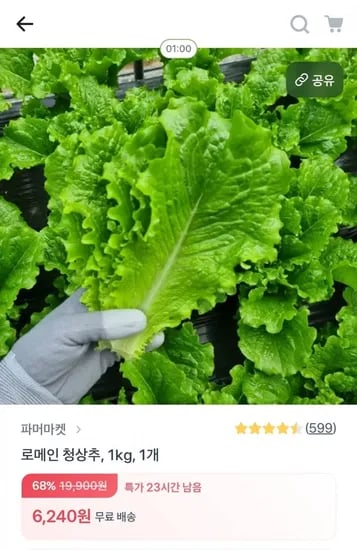 로메인 청상추 kg 1