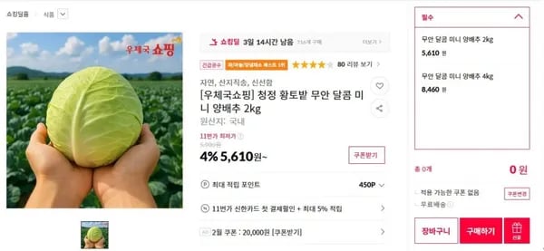 청정 황토밭 무안 달콤 미니 양배추 kg