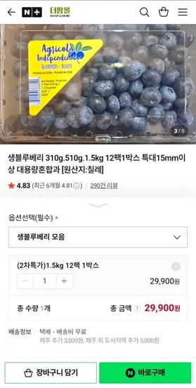 생블루베리 25g x 12팩 특대 15mm