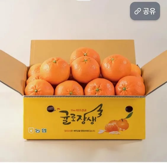 제주남원농협 곱들락 레드향 중과 2KG (15,900원/무료)