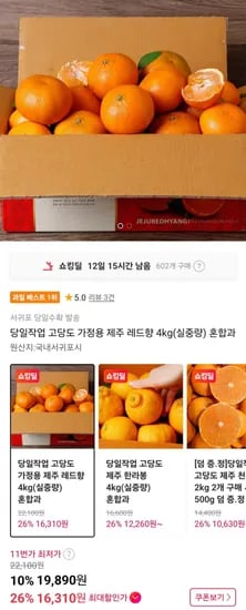 제주 레드향 4kg 혼합과 (9,890원/무배)1