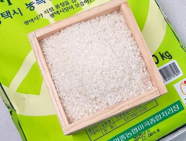 꿈마지쌀 특등급 10kg 26,828원, 딥스킨 생연어 500g+500g 29,873원 (다양/무료)