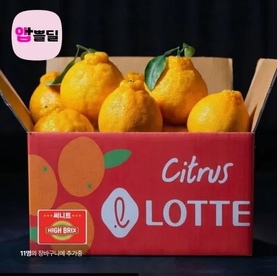 고당도 써니트 한라봉 2.5kg (19,500원/무료)