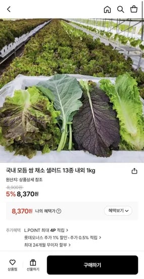 국내 모듬 쌈 채소 샐러드 1kg (8,370원/무료)