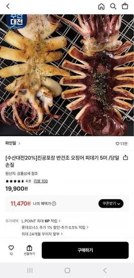 진공포장 반건조 오징어 피데기 5미 (11,470원/무배)