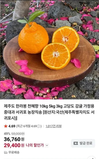 제주도 한라봉 중대과 사이즈 5KG (29,400원 /무배)