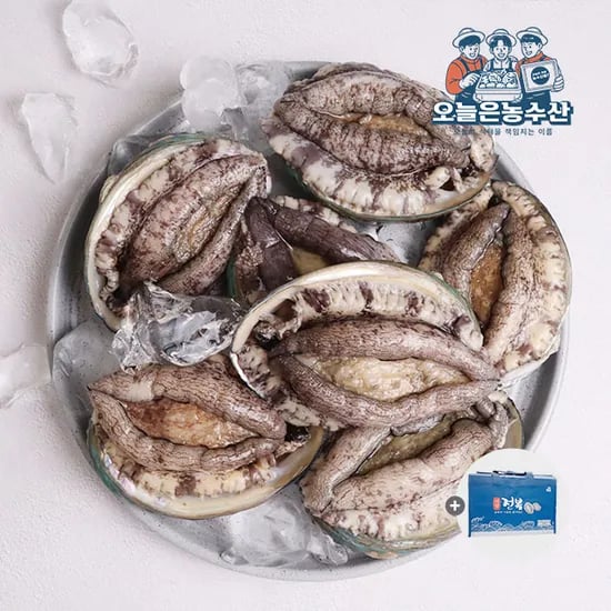 활전복 1kg 6미 (0,650원/무배)2