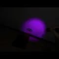 Lost in Anomaly (무료/무료)