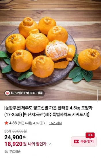 제주도 하우스 가온 한라봉 4.5kg 로얄과 (8,920원/무료)1