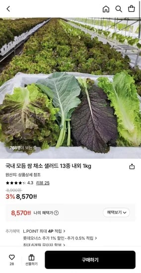 국내 모듬 쌈 채소 샐러드 13종 내외 1kg (8,570원/무배)