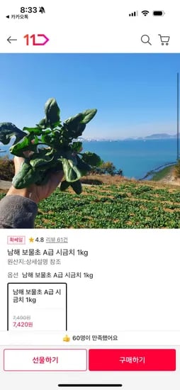 남해 보물초 A급 시금치 1kg(,420/무료)7